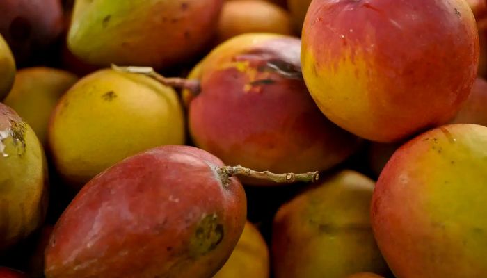  Abrafrutas apoia plano e pede atenção a pequenos produtores 